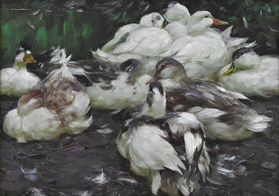 Enten2 von Alexander-Koester als Kunstdruck auf Leinwand