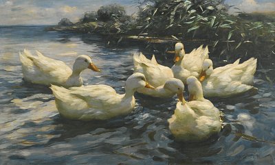 Sechs Enten von Alexander-Koester als Kunstdruck auf Leinwand