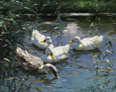 Vier Enten im Teich von Alexander-Koester als Kunstdruck auf Leinwand