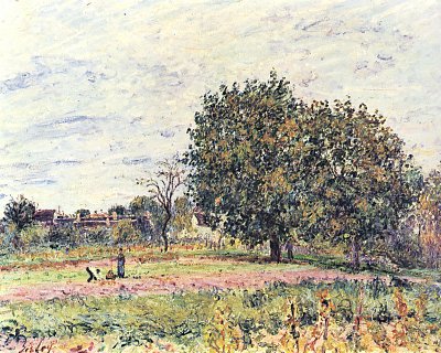 Nussbaeume bei untergehender Sonne Anfang Oktober von Alfred Sisley als Kunstdruck auf Leinwand