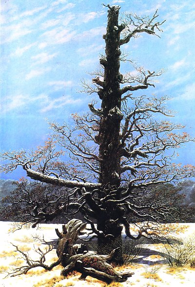 Eichbaum im Schnee von Caspar David Friedrich als Kunstdruck auf Leinwand