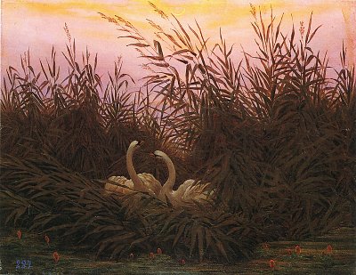 Schwaene im Schilf beim ersten Morgenrot von Caspar David Friedrich als Kunstdruck auf Leinwand