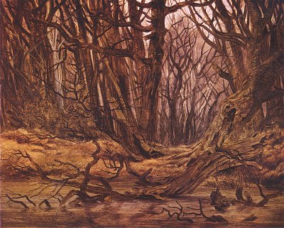 Wald im Spaetherbst von Caspar David Friedrich als Kunstdruck auf Leinwand