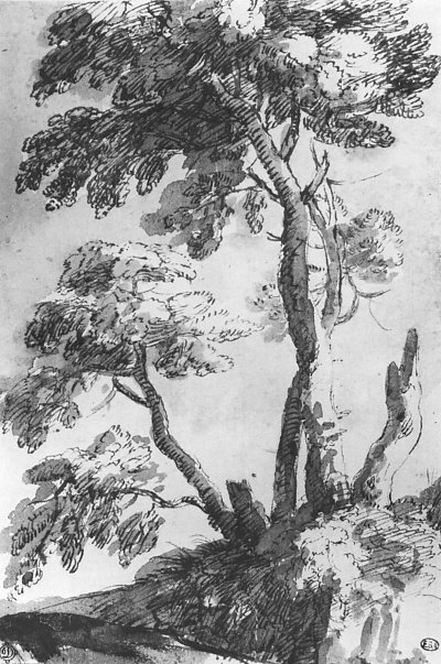 Baumstudie 2 von Claude Lorrain als Kunstdruck auf Leinwand