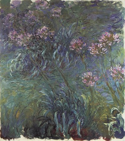 Schmucklilien von Claude Monet als Kunstdruck auf Leinwand