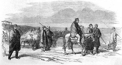 Arrival at Kalafat of the wounded from Citate von Constantin Guys als Kunstdruck auf Leinwand