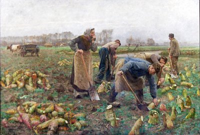 The Beet Harvest von Emile Claus als Kunstdruck auf Leinwand