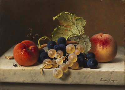 Früchtestillleben mit Pfirsichen und Trauben von Emilie-Preyer als Kunstdruck auf Leinwand