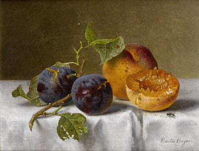 Pflaumen und Aprikosen von Emilie-Preyer als Kunstdruck auf Leinwand