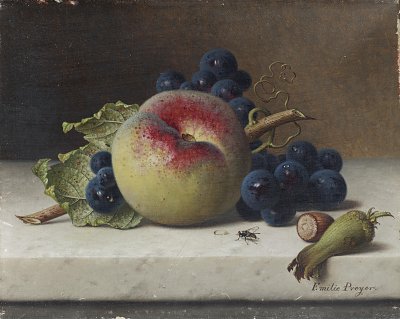 Stilleben mit Früchten und Nüssen auf einem Sims von Emilie-Preyer als Kunstdruck auf Leinwand