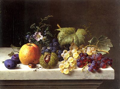Trauben Eicheln und Aprikosen auf einem Marmorsims von Emilie-Preyer als Kunstdruck auf Leinwand
