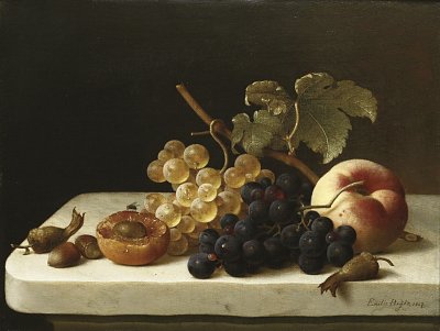 Weintrauben, Eicheln, eine Aprikose und ein Pfirsich auf einem Gesims mit einer Fliege von Emilie-Preyer als Kunstdruck auf Leinwand