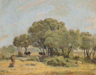 Olivenbäume in Spanien von Ferdinand-Hodler als Kunstdruck auf Leinwand