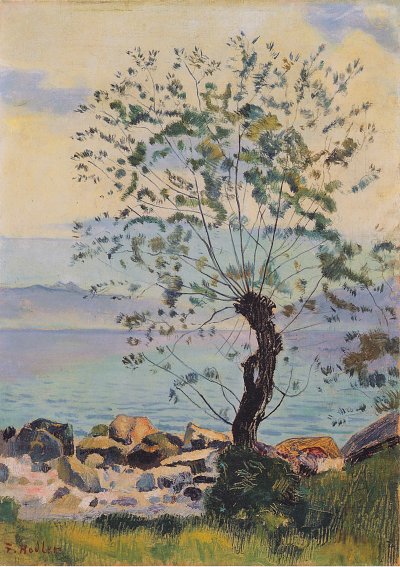 Weiden Baum am See von Ferdinand-Hodler als Kunstdruck auf Leinwand