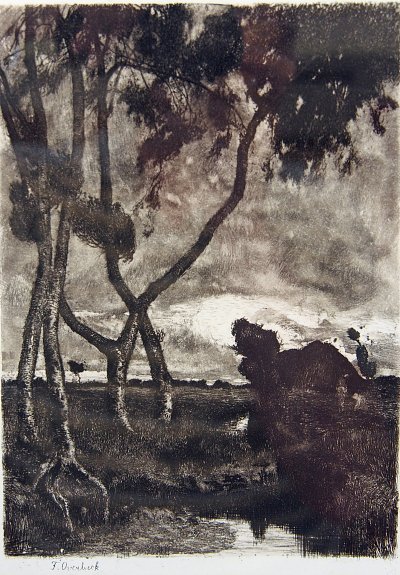 Sturm im Moor von Fritz Overbeck als Kunstdruck auf Leinwand