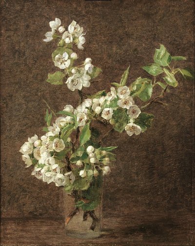 Apple Blossoms von Henri Fantin Latour als Kunstdruck auf Leinwand