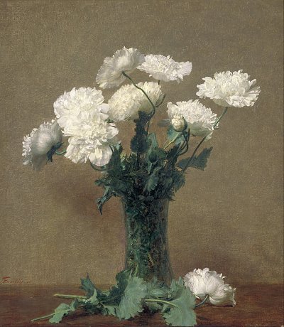 Poppies von Henri Fantin Latour als Kunstdruck auf Leinwand