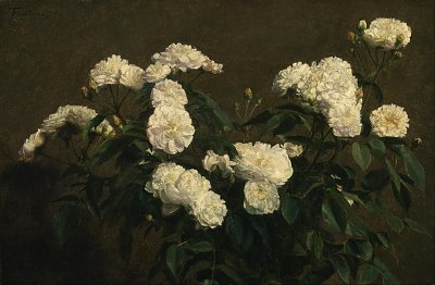Still Life of White Roses von Henri Fantin Latour als Kunstdruck auf Leinwand