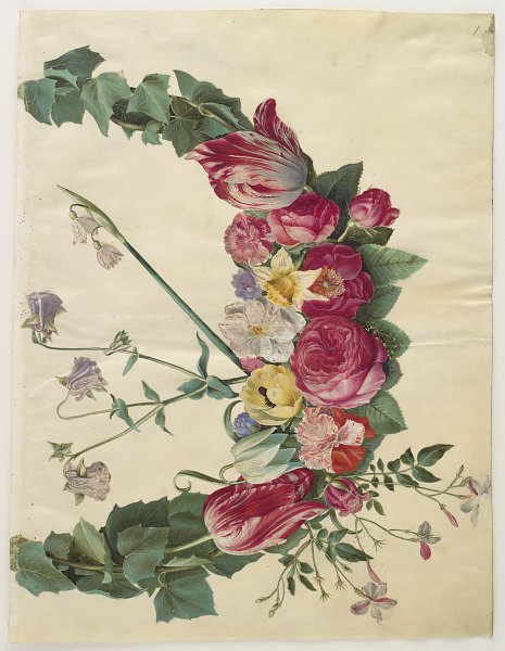 Kunstdruck Floral vine von Johannes Holtzbecher als Leinwandbild