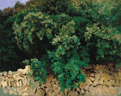 Carrascal Mallorca von John Singer Sargent als Kunstdruck auf Leinwand