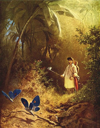 Der Schmetterlingsfaenger von Karl Spitzweg als Kunstdruck auf Leinwand