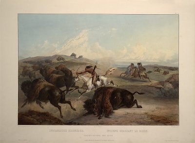 Indianer jagen Bison von Karl Bodmer als Kunstdruck auf Leinwand