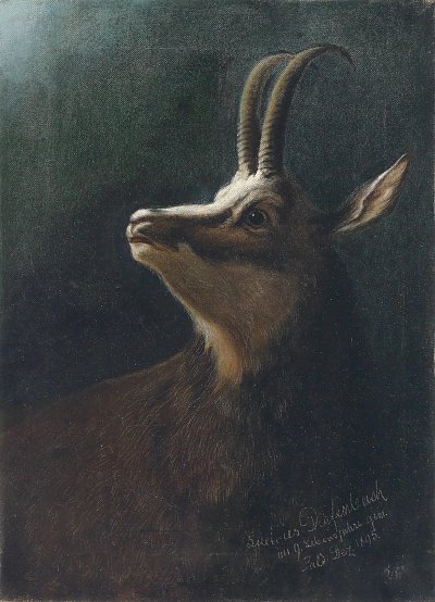 Kopf einer Gemse von Karl Wilhelm Diefenbach als Kunstdruck auf Leinwand