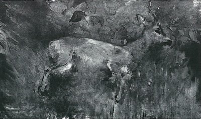 Toter Rehbock von Lovis Corinth als Kunstdruck auf Leinwand