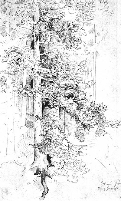Im Rabenauer Grund Studie zu Genoveva von Ludwig Richter als Kunstdruck auf Leinwand