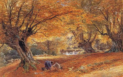 Burnham Beeches von Myles Birket Foster als Kunstdruck auf Leinwand