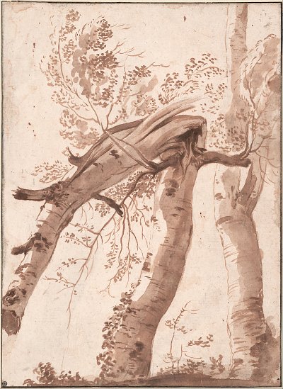 Two Silver Birches the Front One Fallen von Nicolas Poussin als Kunstdruck auf Leinwand