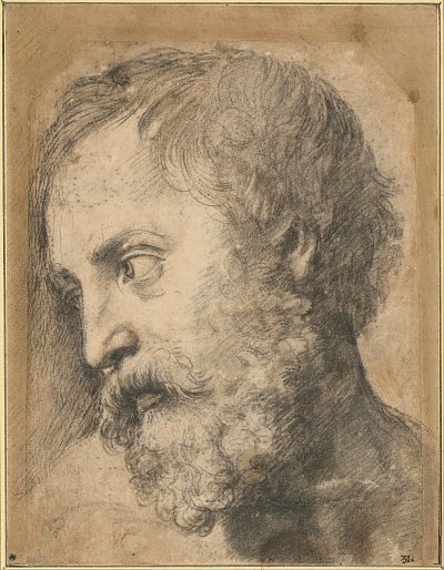 Head of An Apostle in the Transfiguration von Raffael als Kunstdruck auf Leinwand