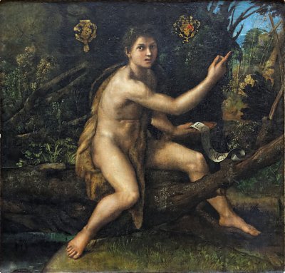 St John the Baptist in the Wilderness von Raffael als Kunstdruck auf Leinwand