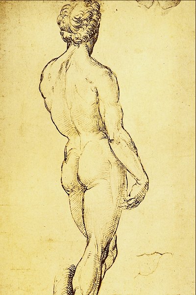 Studio di Nudo von Raffael als Kunstdruck auf Leinwand