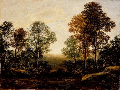 Landscape with Trees von Ralph Albert Blakelock als Kunstdruck auf Leinwand