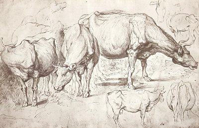 Kuehe von Rubens als Kunstdruck auf Leinwand
