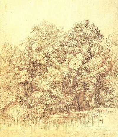 Buesche am Ufer eines Tuempels von Tizian/Zeichnungen als Kunstdruck auf Leinwand