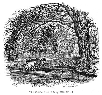 The Cattle Ford Liney Hill Wood von Walter Crane als Kunstdruck auf Leinwand