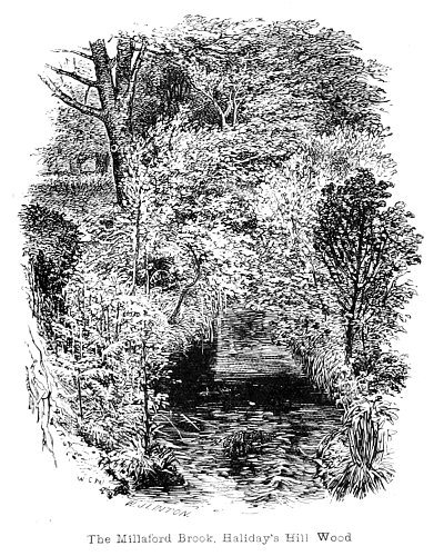 The Millaford Brook Haliday s Hill Wood von Walter Crane als Kunstdruck auf Leinwand