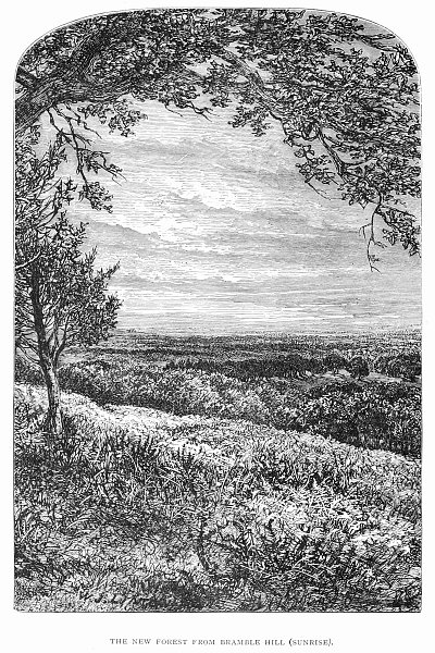 The New Forest from Bramble Hill Sunrise von Walter Crane als Kunstdruck auf Leinwand