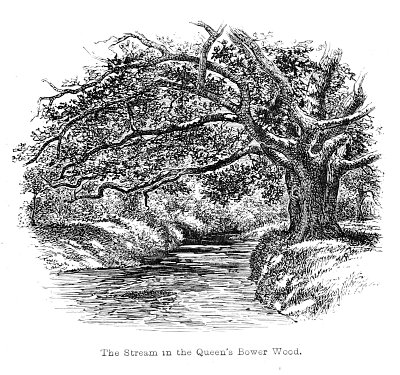 The Stream in the Queen s Bower Wood von Walter Crane als Kunstdruck auf Leinwand