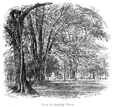 View in Studley Wood von Walter Crane als Kunstdruck auf Leinwand