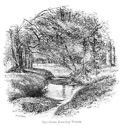View in the Great Huntley Woods von Walter Crane als Kunstdruck auf Leinwand
