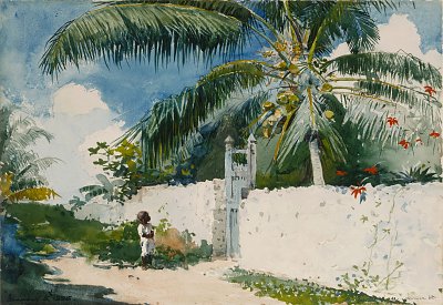 A Garden in Nassau von Winslow Homer als Kunstdruck auf Leinwand