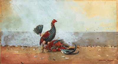 the cock fight von Winslow Homer als Kunstdruck auf Leinwand