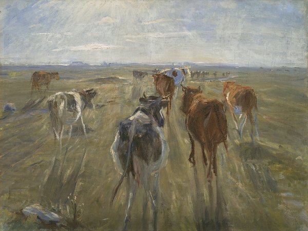 Kunstdruck Theodor Philipsen Long Shadows Cattle on the Island of Saltholm von einzelne als Leinwandbild