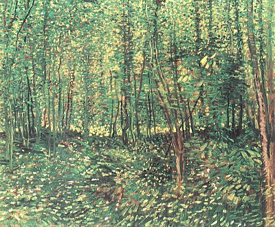 Baeume und Unterholz von van Gogh als Kunstdruck auf Leinwand