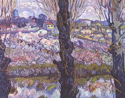 Blick auf Arles von van Gogh als Kunstdruck auf Leinwand