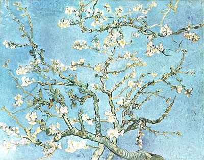 Bluehende Mandelbaumzweige von van Gogh als Kunstdruck auf Leinwand