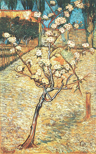 Bluehender Birnbaum von van Gogh als Kunstdruck auf Leinwand